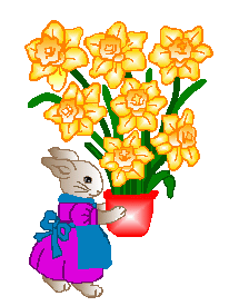pot of daffodils