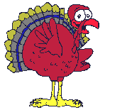 turkey by Jo